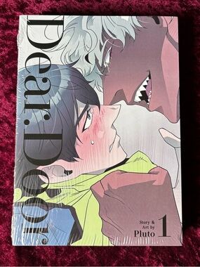 Dear Door Vol 1 BL manga